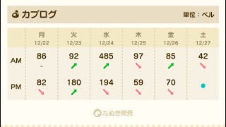 【あつ森】カブ485！チャンネル登録、高評価で売り放題！