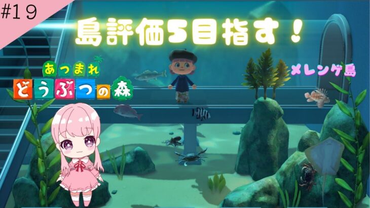 島評価5目指す！あつ森