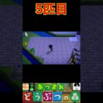 5匹目 #あつまれどうぶつの森 #shorts #あつ森