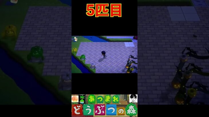 5匹目 #あつまれどうぶつの森 #shorts #あつ森