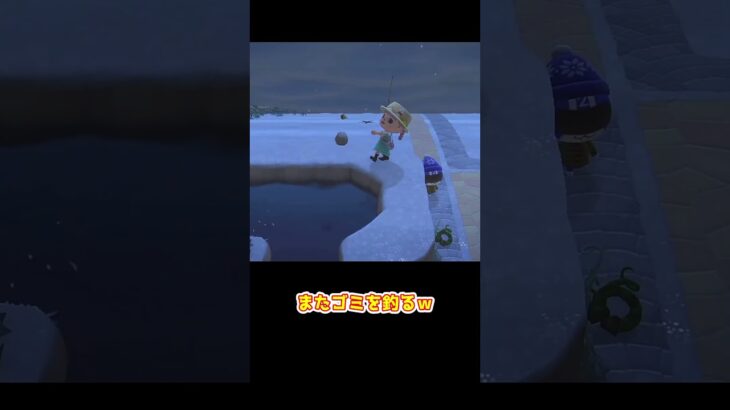 【あつ森】≪もうすぐ5000匹🎣≫　フナにまで効くセンサー　　　　　　　　　　　　　　　　　　　　　 #あつまれどうぶつの森　#釣り　#short