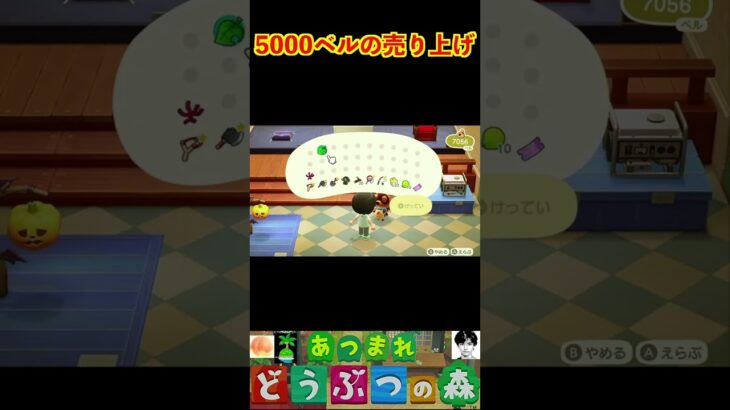 5000ベルの売り上げ #あつまれどうぶつの森 #shorts #あつ森
