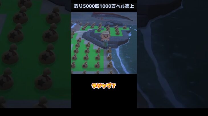 【あつ森】≪もうすぐ5000匹🎣≫　リュウグウノツカイの釣れる場所　　　　　　　　　　　　 #ゆっくり実況 #あつ森　#リュウグウノツカイ　#釣り　#shorts