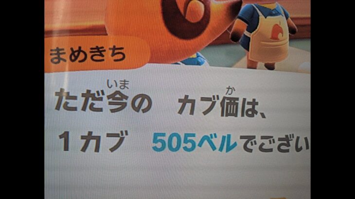 【あつ森】カブ505！チャンネル登録、高評価で売り放題！