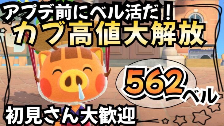 【あつ森実況】カブ高騰562ベル90ベル！参加型！【初見さん歓迎！】