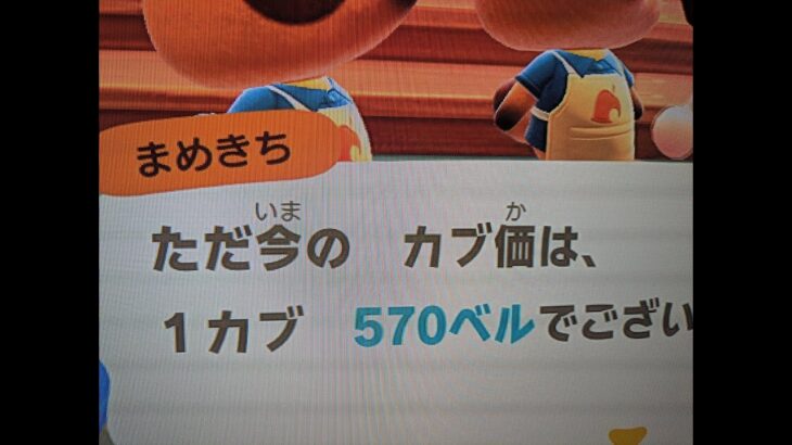【あつ森】カブ570チャンネル登録、高評価で来島OK！