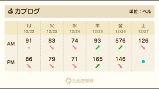 【あつ森】カブ576！チャンネル登録、高評価で売り放題！