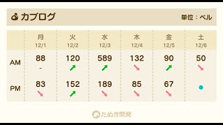 【あつ森】カブ589！チャンネル登録、高評価で売り放題！