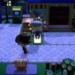 【あつ森】カブ価590ベル！チャンネル登録、高評価して売り放題！来島人数知りたいのでいいねしてから来てね