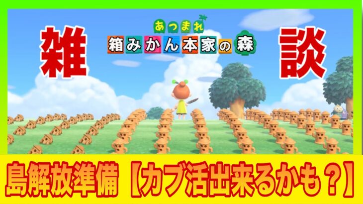 【あつ森】島解放準備しつつ、裏ではかぶ活できることもあるよ！お試し配信6日目