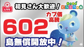 【あつまれどうぶつの森】参加型ライブ！カブ価602ベル【あつ森】 初見さん大歓迎
