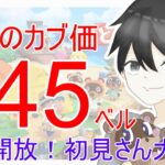【あつ森】カブ価645ベルを無償開放。アプデまでにカブ活しましょう！