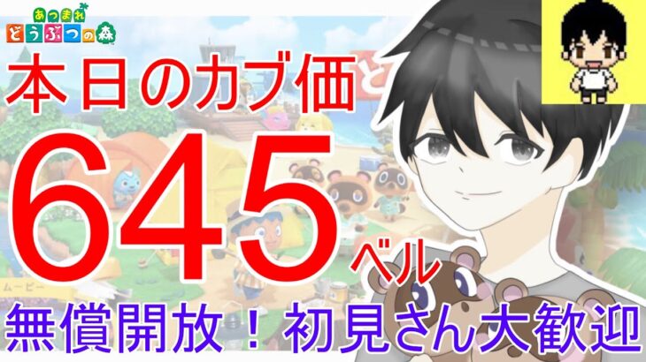 【あつ森】カブ価645ベルを無償開放。アプデまでにカブ活しましょう！