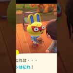 【あつ森】新生活6日目@user-lightnest #あつ森 #あつまれどうぶつの森