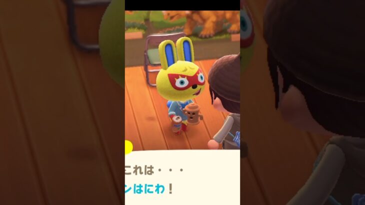 【あつ森】新生活6日目@user-lightnest #あつ森 #あつまれどうぶつの森