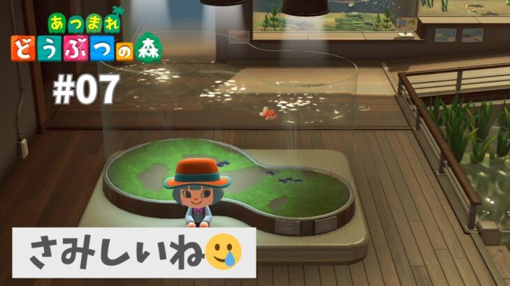 【あつ森】博物館ががらがらだあ🥲 #7 【あつまれどうぶつの森：Animal Crossing: New Horizons】