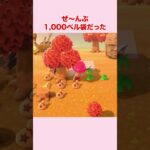 【あつ森】光る地面に99,000ベル埋めてみた！結果は関連動画で！  #あつ森 #あつまれどうぶつの森 #金のなる木