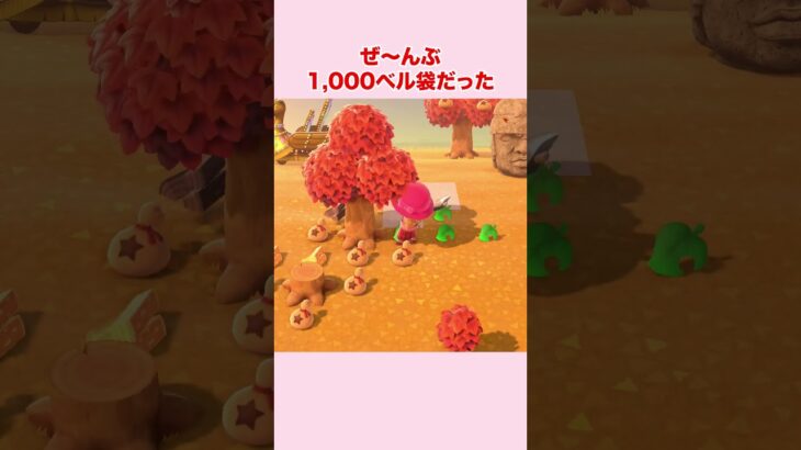 【あつ森】光る地面に99,000ベル埋めてみた！結果は関連動画で！  #あつ森 #あつまれどうぶつの森 #金のなる木