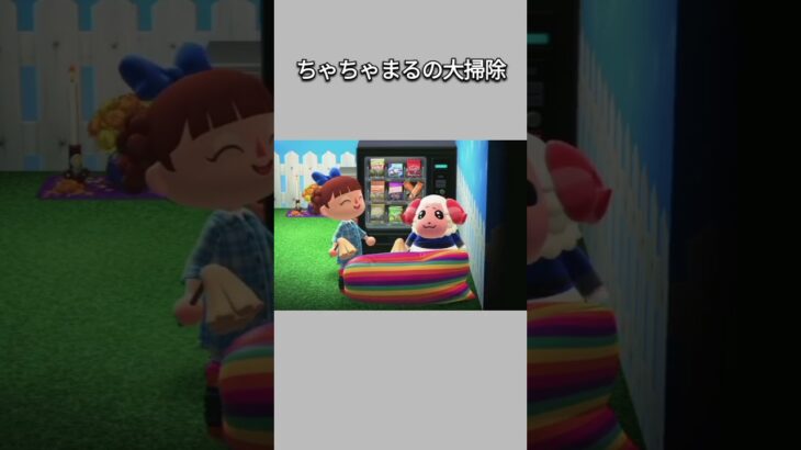 【あつ森】大掃除の合間にちょっと休憩するちゃちゃまる🤭【あつまれどうぶつの森】【どうぶつの森】【ACNH】 #short