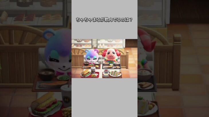【あつ森】みすずと楽しい食事を楽しむちゃちゃまるだけど･･･ん？何を飲んでるの？？🤔😂【あつまれどうぶつの森】【どうぶつの森】【ACNH】 #short