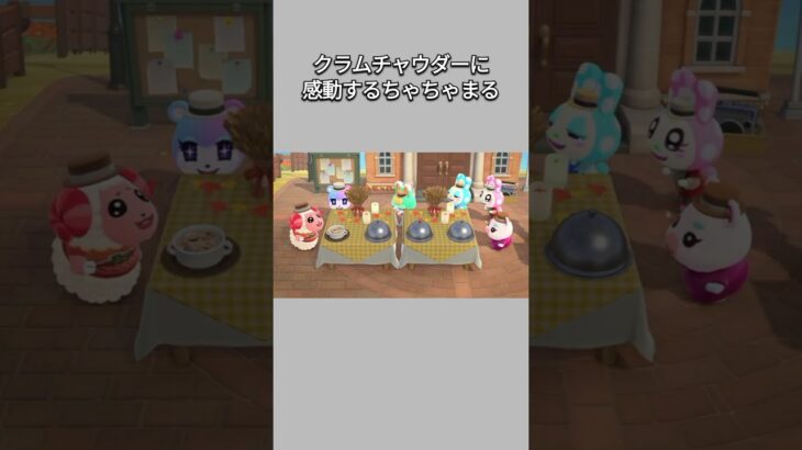 【あつ森】サンクスギビングでクラムチャウダーに感動するちゃちゃまる🍲😊💕【あつまれどうぶつの森】【どうぶつの森】【ACNH】 #short