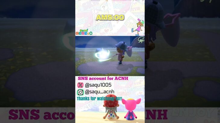 【AM5:00】#あつ森 #acnh #どうぶつの森 #animalcrossing #あつ森ショート #short