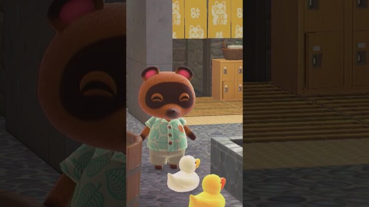 【あつ森ASMR】たぬきち達の休日＃shorts #あつ森 #あつまれどうぶつの森＃short＃あつ森BGM