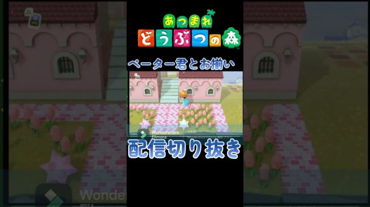 #あつ森 #切り抜き#AnimalCrossing 　住民と一緒の帽子をもらいました。