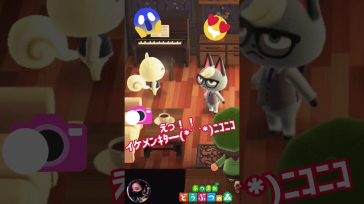 【あつ森】油断してたぁ〜😭いきなりイケメンパラダイス🍧👘✺⋆*(嬉しいくて録画忘れ) #どうぶつの森 #AnimalCrossing #ACNH #Nintendo3ds #ジュン #ジャック