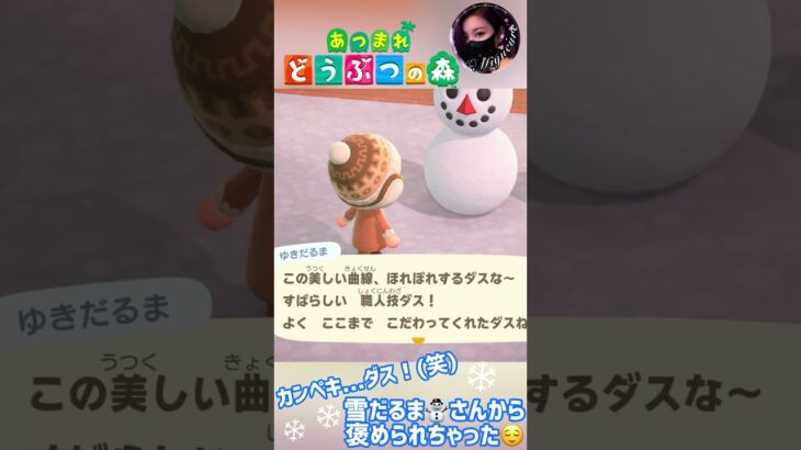 【あつ森】カンペキ💮ダス！(笑)雪だるまさんから褒められちゃった⛄❄😊 #どうぶつの森 #AnimalCrossing #ACNH #NintendoSwitch