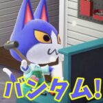 【あつ森】なびさんのDIYコーナー！！ゲストは・・ #shorts #あつ森 #あつまれどうぶつの