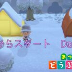 [あつ森] ゼロからスタート モモチがいる生活　Day04-2