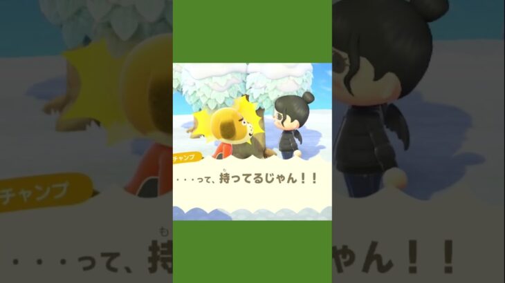 【あつ森】推しからGETしたものはPremiere★ #あつ森 #あつ森日記 #あつまれどうぶつの森