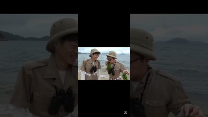 ３０分クオリティ（） #あつ森 #あつまれどうぶつの森 #ヒカキン #ヒカマニ #HIKAKIN