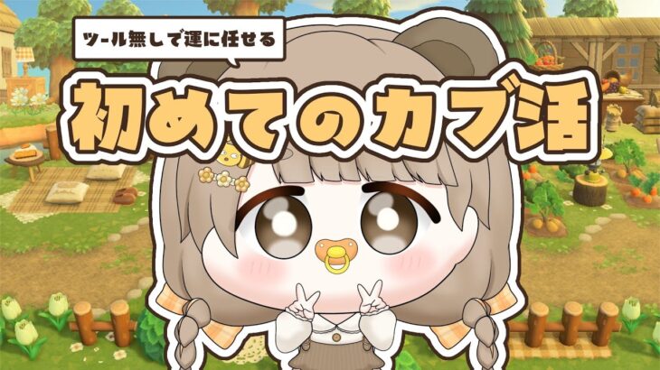 【 あつ森 】 アプデに備えて全財産を運に任せるカブ活 💰【 #ぷにLIVE 】