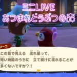 ミニLIVE【あつ森】フーコからレシピをもらってね♪サブ島