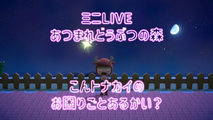 ミニLIVE【あつ森】こんトナカイのおこまりごとあるかい？♪サブ島