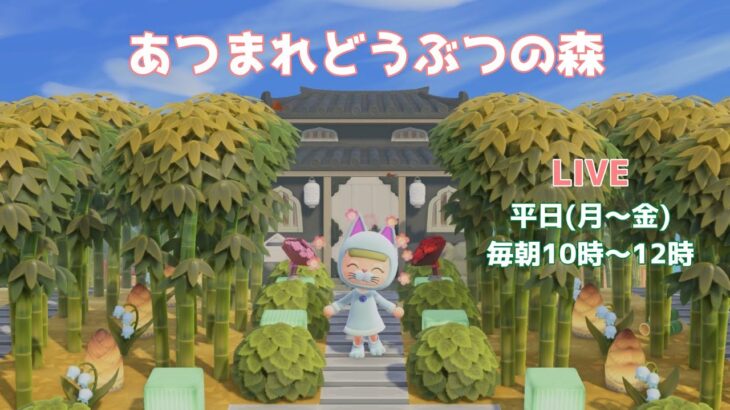 LIVE【あつ森】がっつり!まった～りあつまれどうぶつの森