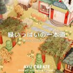 【あつ森】緑いっぱいの一本道｜色とりどりの島｜Leafy Green Path【島クリエイト】