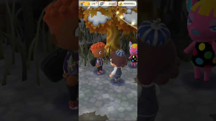 M_251218-B       #Nintendo #AnimalCrossingNewHorizons #ポケ森 #PocketCamp #acnh #ゲーム #あつ森 #Games #動物森友會