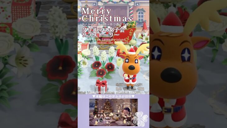 【あつ森】Merry Christmas🎅🏻🌟the side story【acnh】 #あつ森 #クリスマス #acnh