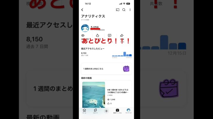 #あとひとり#あとひとりコール#ゆっちゃんねる#シナモン推し#シナモン#あつ森#あつまれどうぶつの森#任天堂#ニンテンドー#Nintendo#switch#スイッチ#ゲーム#ゲーセン#サンリオ