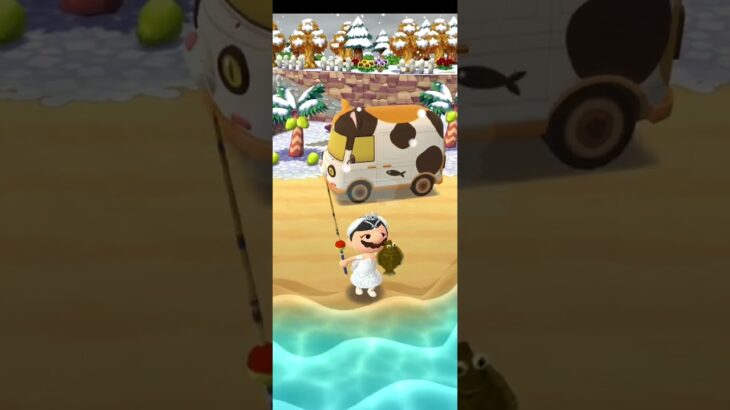 R_251221        #Nintendo #AnimalCrossingNewHorizons #ポケ森 #PocketCamp #acnh #ゲーム #あつ森 #Games #動物森友會