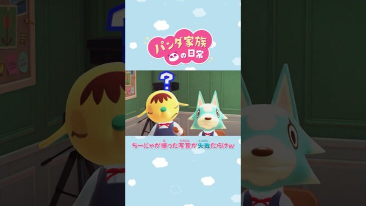 【あつ森アニメ】ちーにゃが撮った写真が失敗だらけｗ #Shorts #あつ森