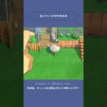 【あつ森】省スペースの作業場🌼【島クリShorts】