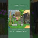 【あつ森】島の岬🏝️【島クリ Shorts】