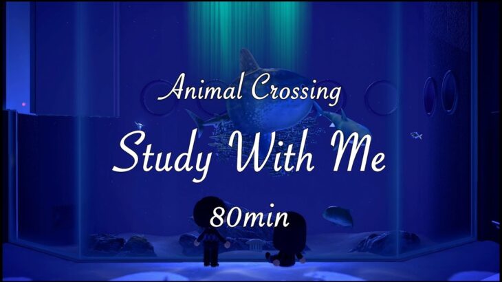 【あつ森 Study with Me】🐠 水族館の癒やし環境音 80分｜集中できる作業用BGM | どうぶつの森の世界
