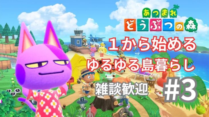 【Switch2アプデ直前】あつまれどうぶつの森〜たぬき商店と博物館OPEN！ゆるく島づくりリスタート#3【ニコバン推し / 64どうぶつの森世代】