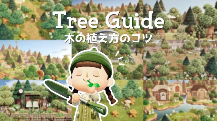あつ森 | 自然な木の植え方 コツとヒント | The Ultimate Tree Guide Tips |  Animal Crossing New Horizons