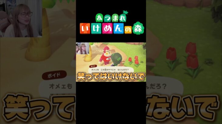 【Tiktokで大人気】あつ森の住民トリの種類が多すぎないか？